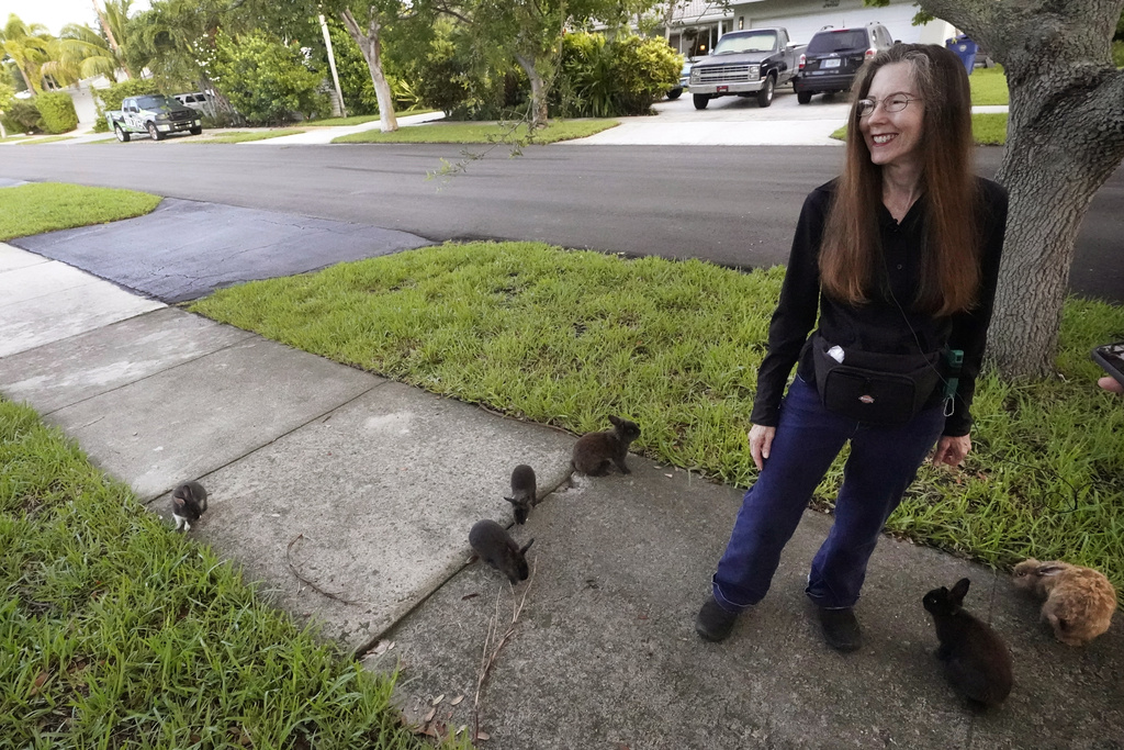 Mon. 9:31 a.m.: Fuzzy invasion of domestic rabbits has a Florida suburb hopping into a hunt for new owners | News, Sports, Jobs - Vimarsana News
